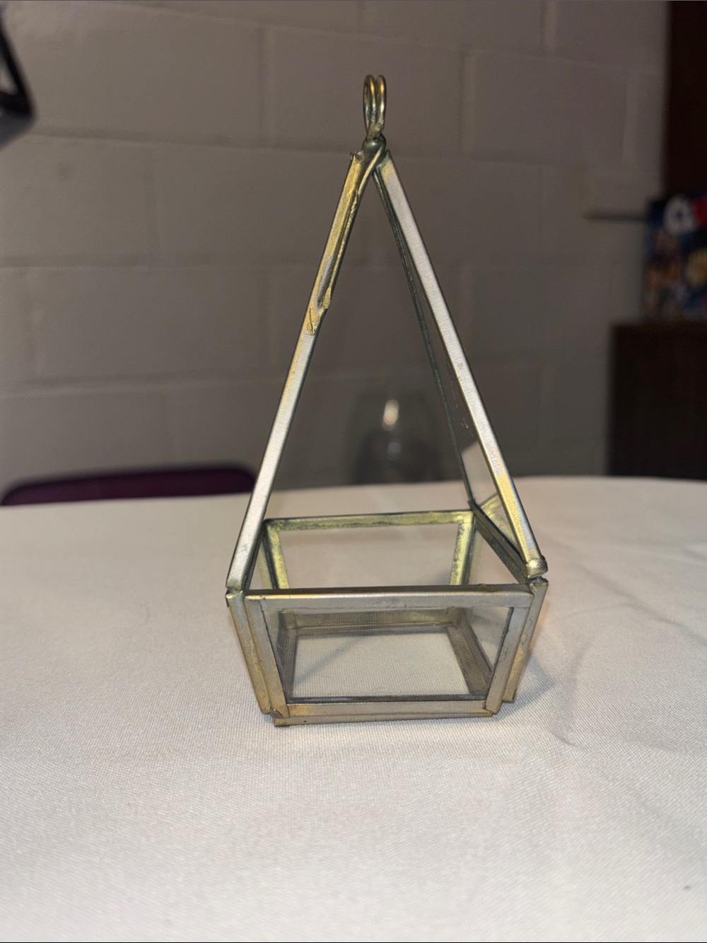 Glass Hanging Geometric Terrarium - Brass Frame